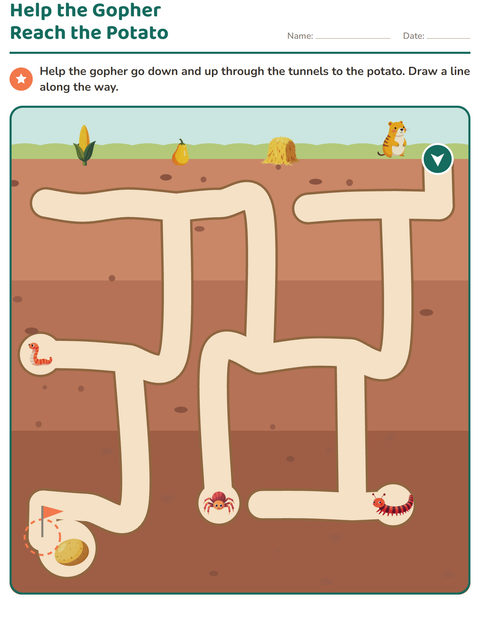 Preview of Maze Puzzles worksheet for grade 1