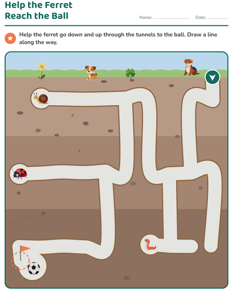 Preview of Maze Puzzles worksheet for grade 1