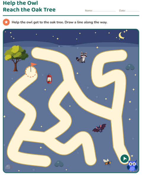 Preview of Maze Puzzles worksheet for kindergarten