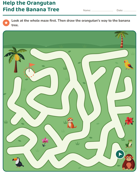 Big Picture Maze: The Orangutan's Way to the Banana Tree