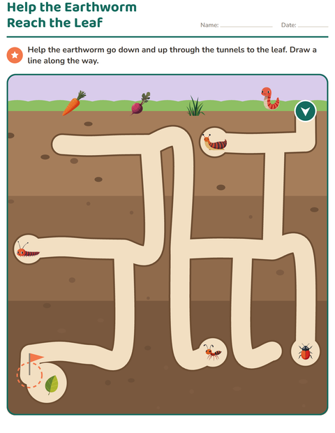 Preview of Maze Puzzles worksheet for grade 1