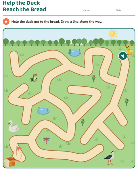 Preview of Maze Puzzles worksheet for kindergarten