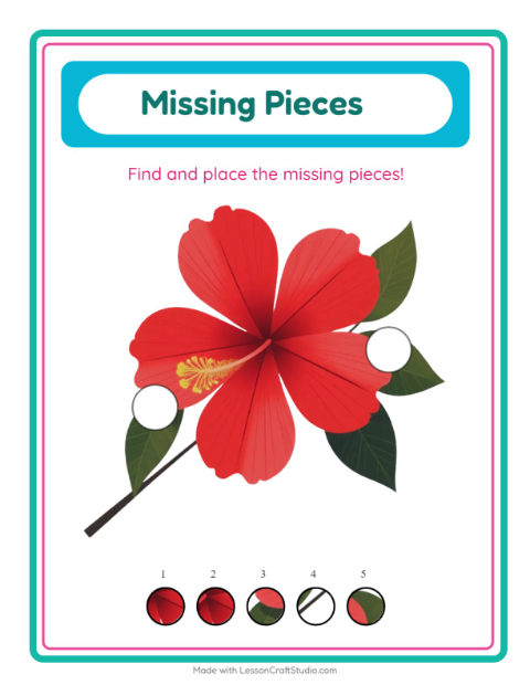 Missing Pieces