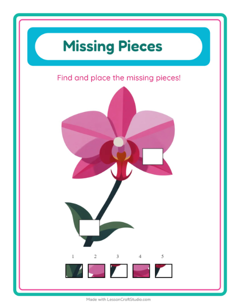 Missing Pieces