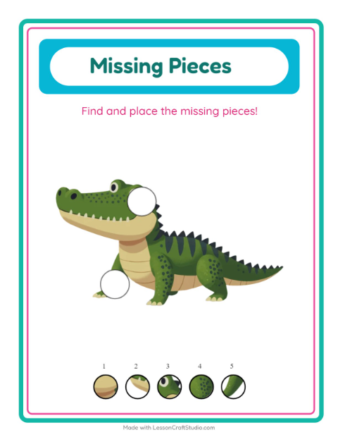 Missing Pieces