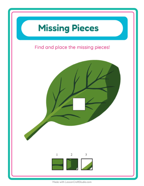 Missing Pieces