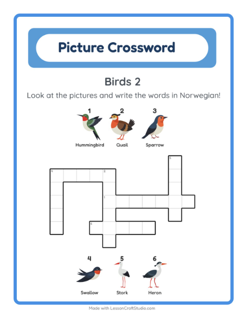 Picture crossword – More Birds