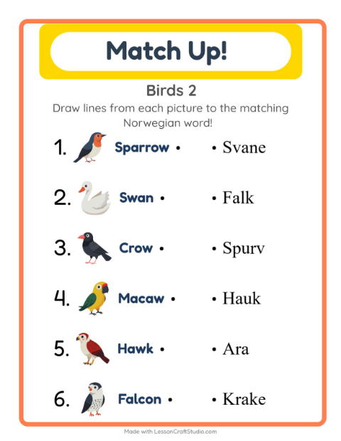 Picture-word match – More Birds