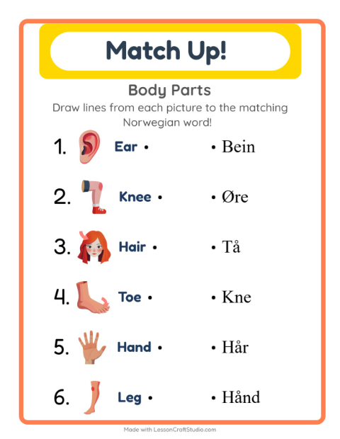 Picture-word match – Body Parts