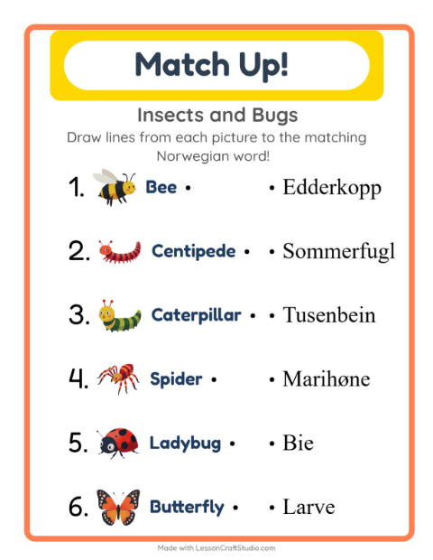 Picture-word match – Insects and Bugs
