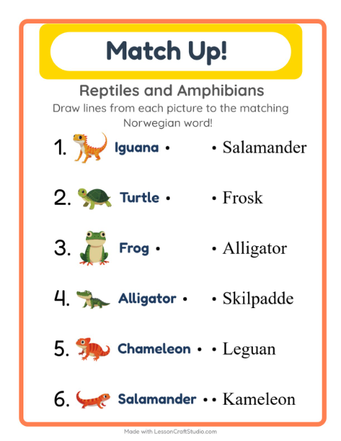 Picture-word match – Reptiles and Amphibians