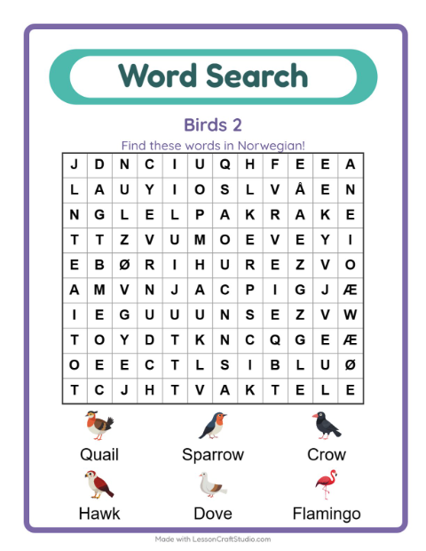 Picture word search – More Birds