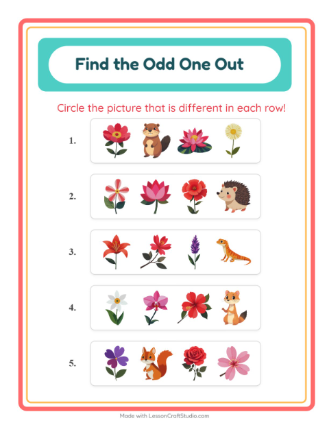 Odd One Out