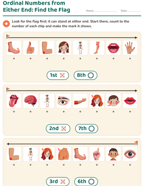 Ordinal Numbers from Either End: Find the Flag — Body Parts