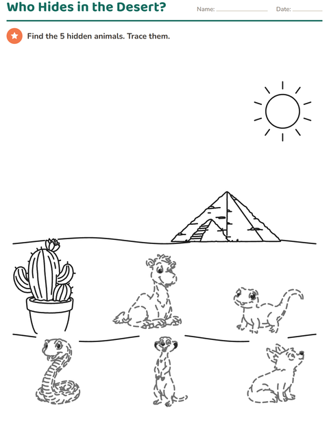 Preview of Picture Tracing worksheet for grade 1