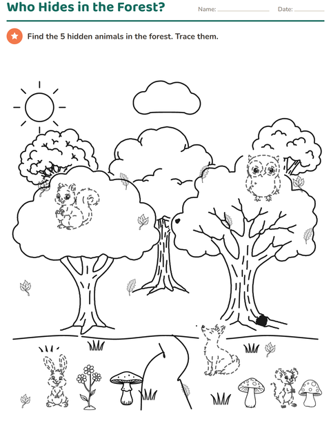 Preview of Picture Tracing worksheet for grade 1