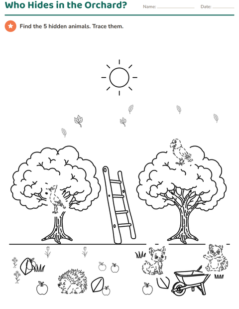 Preview of Picture Tracing worksheet for grade 1