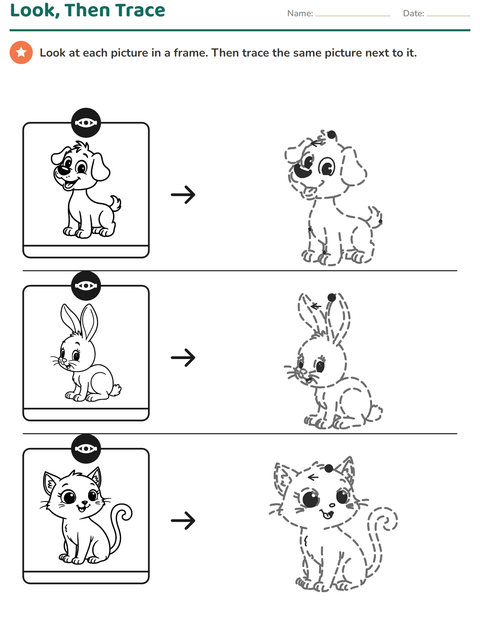 Preview of Picture Tracing worksheet for kindergarten