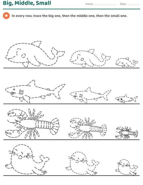 Preview of Picture Tracing worksheet for kindergarten