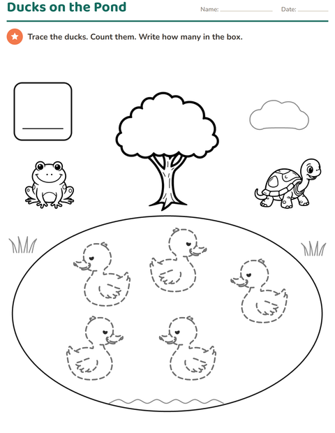 Preview of Trace and Count: How Many Ducks Are on the Pond?