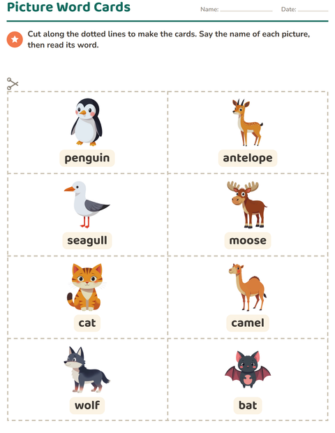 Picture Word Cards: Animals