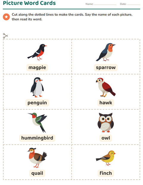 Preview of Picture Word Cards worksheet featuring Birds 2 for kindergarten