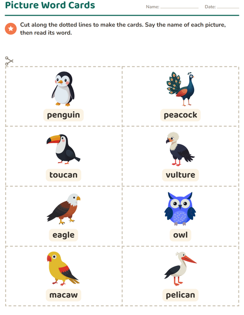 Preview of Picture Word Cards worksheet featuring Birds for kindergarten