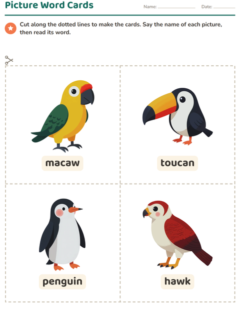 Preview of Picture Word Cards worksheet featuring Birds 2 for kindergarten