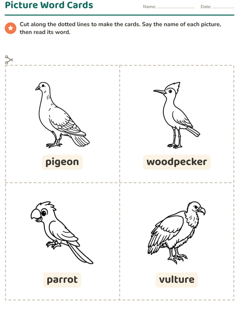 Preview of Picture Word Cards worksheet featuring Birds BW for kindergarten