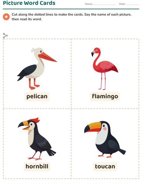 Preview of Picture Word Cards worksheet featuring Birds for kindergarten