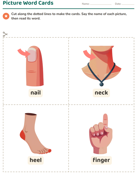 Preview of Picture Word Cards worksheet featuring Body Parts for kindergarten