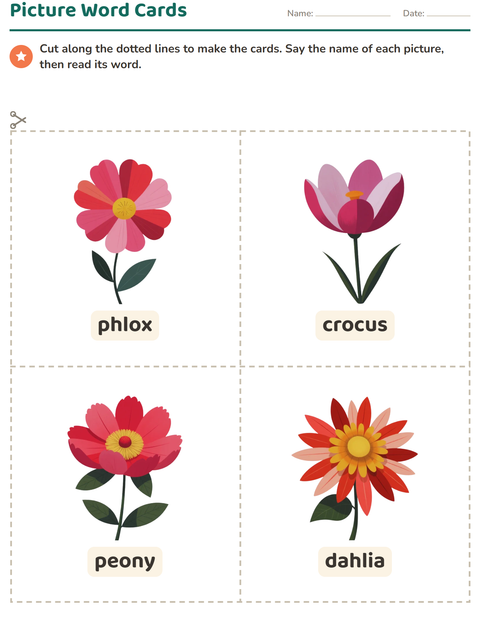 Preview of Picture Word Cards worksheet featuring Flowers for kindergarten