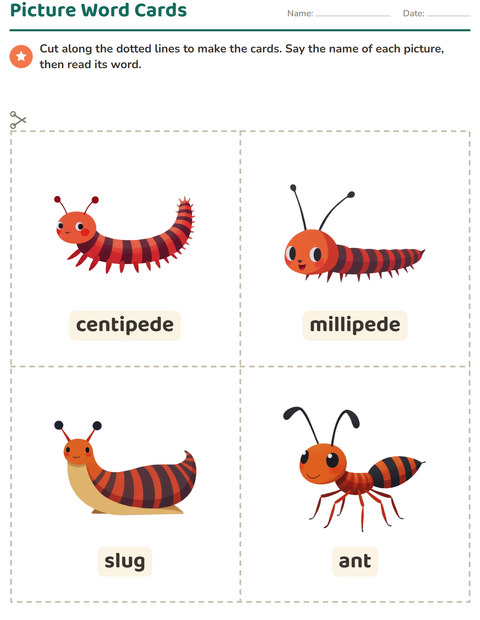 Preview of Picture Word Cards worksheet featuring Insects and Bugs for kindergarten