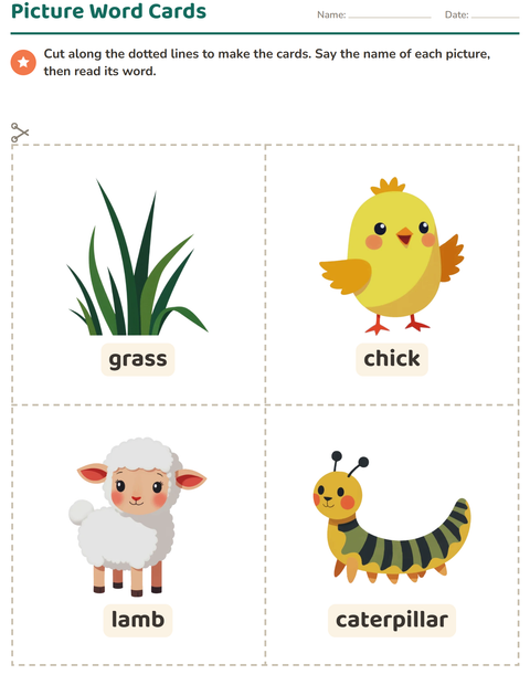 Preview of Picture Word Cards worksheet featuring Spring for kindergarten