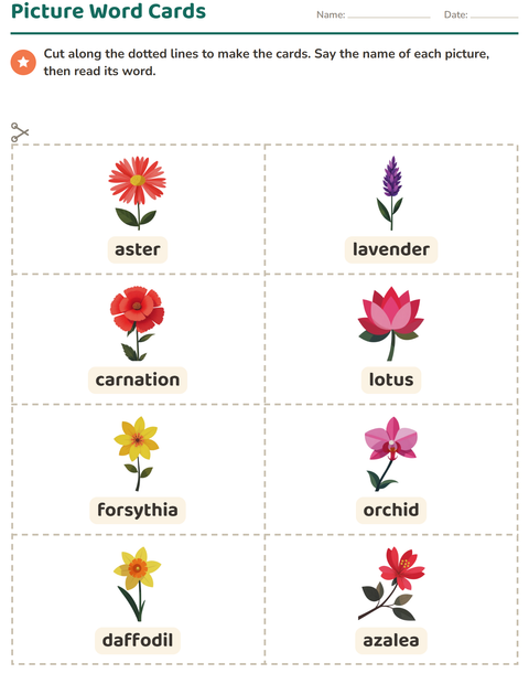 Preview of Picture Word Cards worksheet featuring Flowers for kindergarten