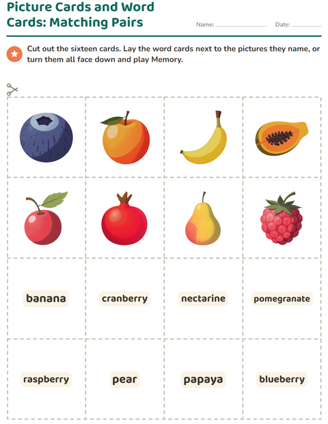 Picture Cards and Word Cards: Matching Pairs