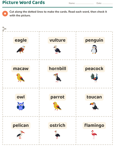 Preview of Picture Word Cards worksheet featuring Birds for kindergarten