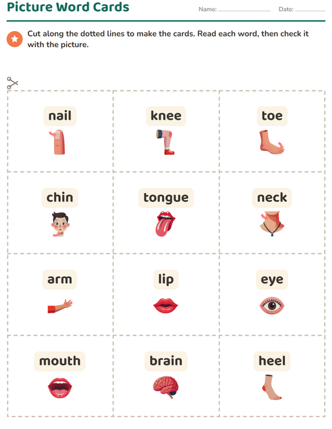 Preview of Picture Word Cards worksheet featuring Body Parts for kindergarten