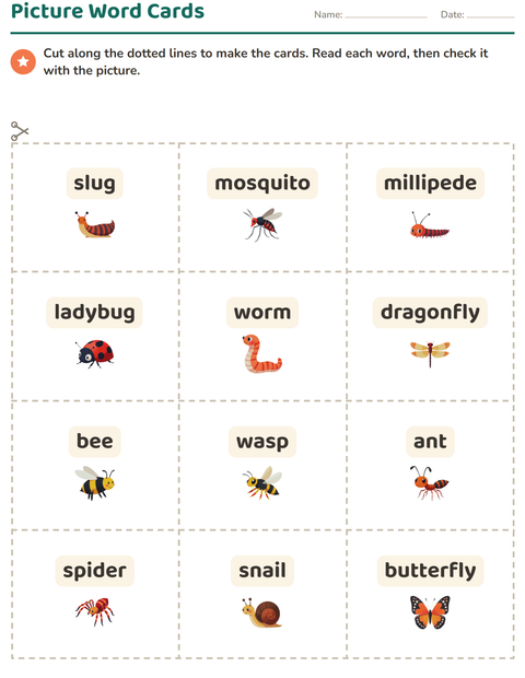 Preview of Picture Word Cards worksheet featuring Insects and Bugs for kindergarten