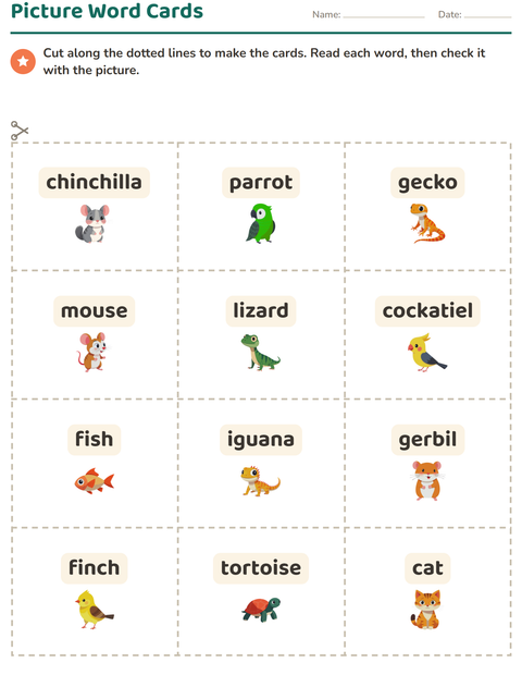 Preview of Picture Word Cards worksheet featuring Pets for kindergarten