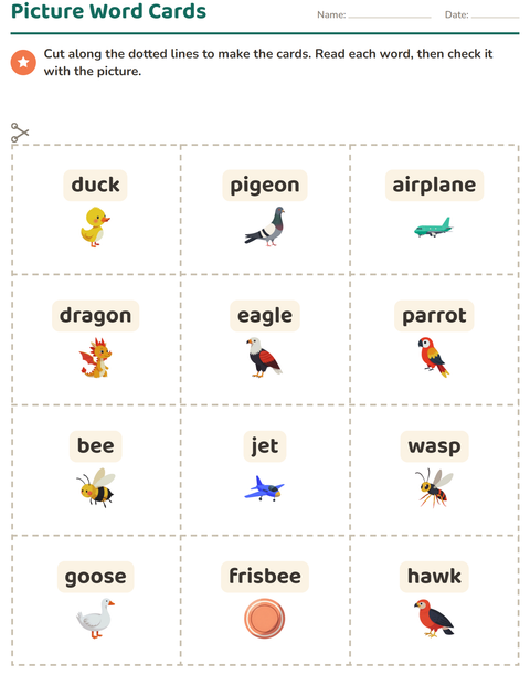 Preview of Picture Word Cards worksheet featuring Things That Fly for kindergarten