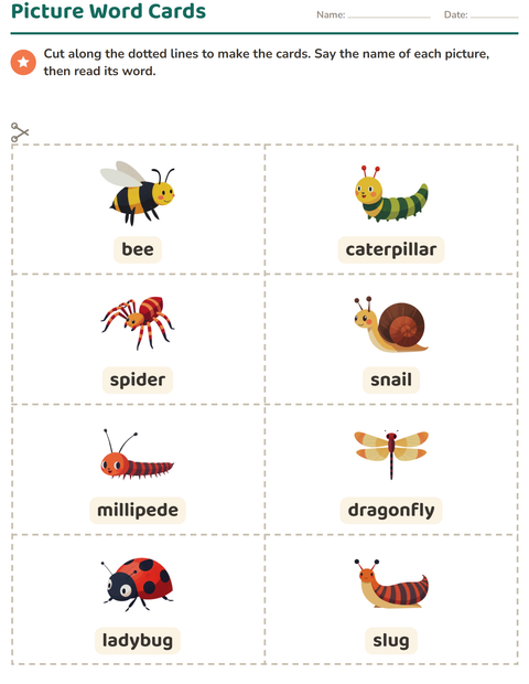 Preview of Picture Word Cards worksheet featuring Insects and Bugs for kindergarten