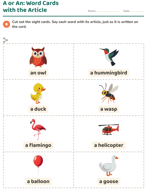 Preview of Picture Word Cards worksheet featuring Things That Fly for kindergarten