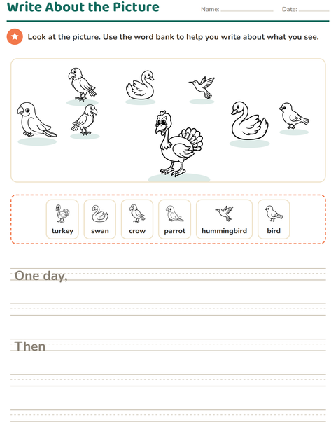 Preview of Picture Writing Prompts worksheet featuring Birds BW 2 for grade 2
