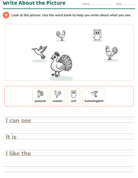 Preview of Picture Writing Prompts worksheet featuring Birds BW 2 for grade 2