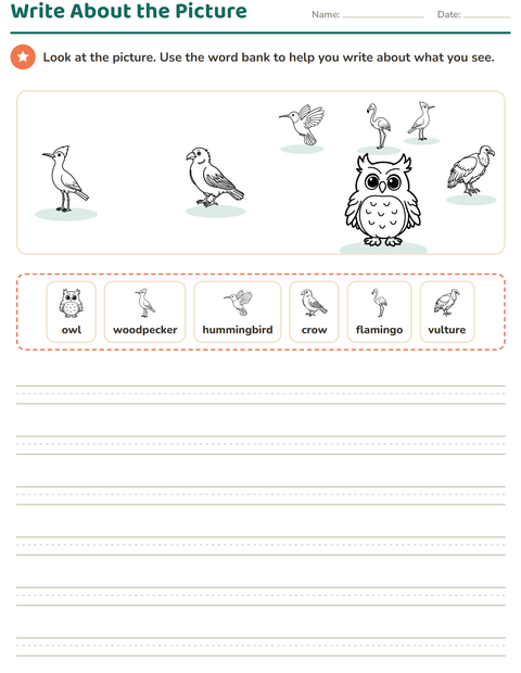 Preview of Picture Writing Prompts worksheet featuring Birds BW for grade 2