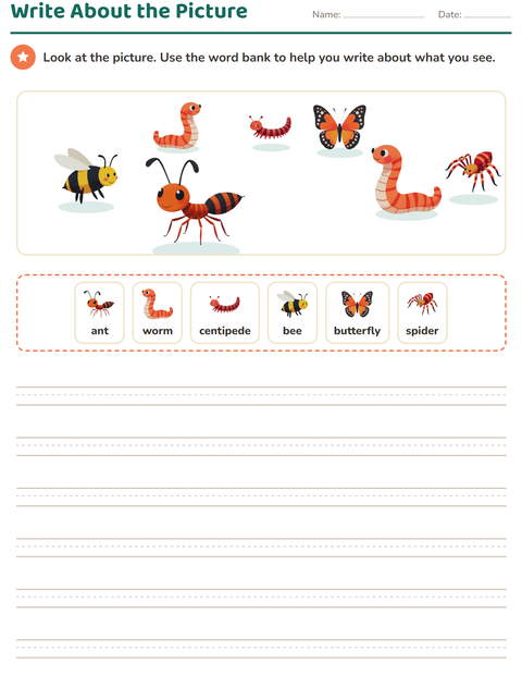 Preview of Picture Writing Prompts worksheet featuring Insects and Bugs for grade 2