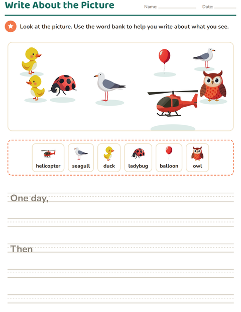 Preview of Picture Writing Prompts worksheet featuring Things That Fly for grade 2