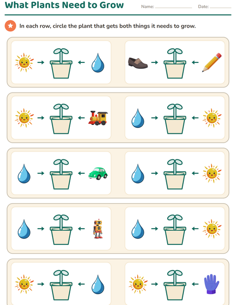 Preview of Parts of a Plant worksheet for kindergarten