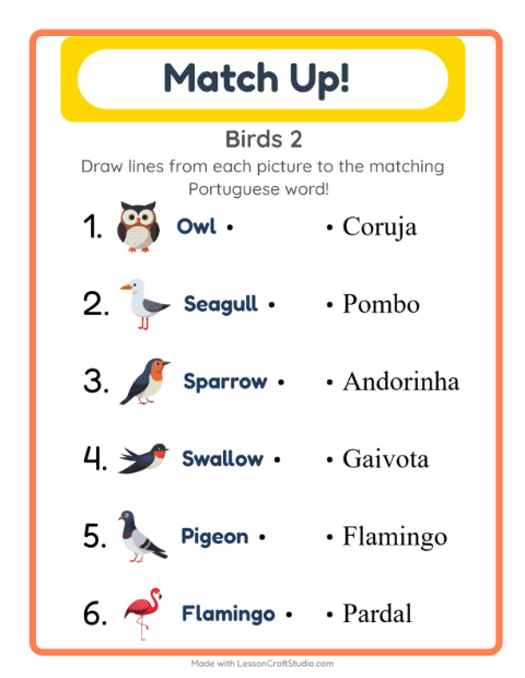 Picture-word match – More Birds